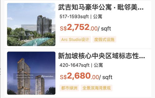 新加坡房產經紀最怕什么 不是市場冷，是中國人搜不到你